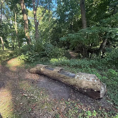 Chez Grand-mere Cozy Retro In The Heart Of