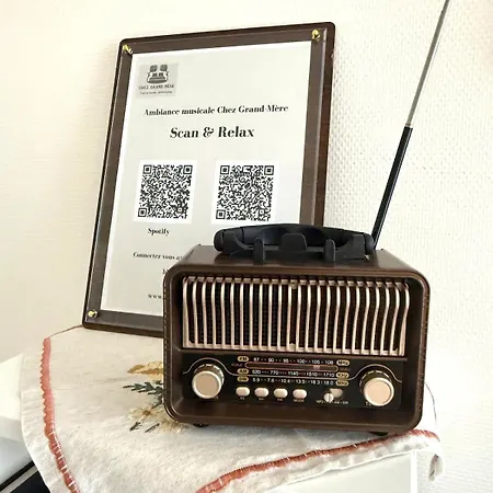 Chez Grand-Mere Elegant Vintage Apartment With Free Parking Metz