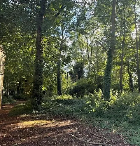 Appartamento Chez Grand-mère Cozy Retro In The Heart Of