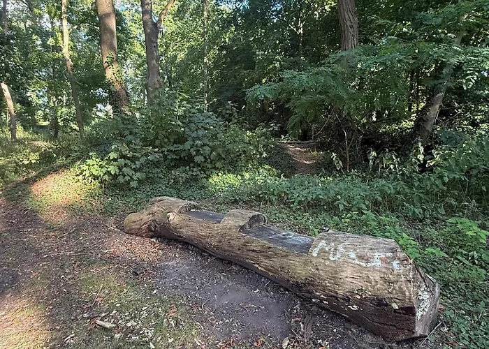 Chez Grand-mère Cozy Retro In The Heart Of