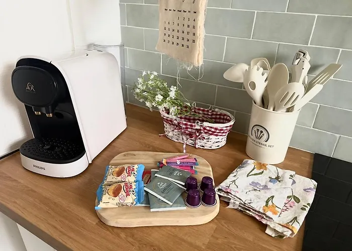 Apartment Chez Grand-Mere Elegant Vintage Apartment With Free Parking Metz