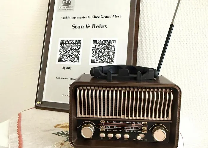 Chez Grand-Mere Elegant Vintage Apartment With Free Parking Metz